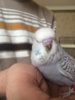 IMG-20181018-WA0047.jpg
