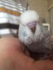 IMG-20181018-WA0044.jpg