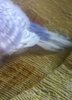 WP_20181027_006.jpg