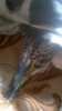 WP_20181028_005.jpg