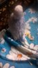 WP_20181028_007.jpg