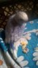 WP_20181028_008.jpg
