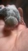 WP_20181028_029.jpg