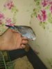 IMG_20181028_224247_077.jpg