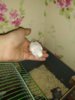 IMG_20181028_224235_995.jpg