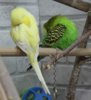 IMG_2460.JPG