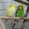 IMG_2420.JPG