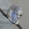 IMG_2461.JPG