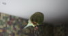 DSC08432.JPG