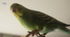 DSC08446.JPG