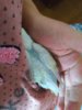IMG_20181031_175426.jpg