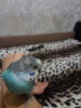 IMG_20181101_191533.jpg