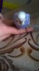 WP_20181102_010.jpg