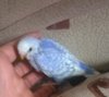 WP_20181102_018.jpg