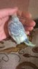 WP_20181102_023.jpg