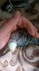WP_20181102_034.jpg