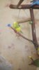 IMG-20181104-WA0010.jpg