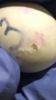 8E199ABD-9910-485C-92E8-B82A10F4A56F.png