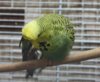 IMG_2546.JPG