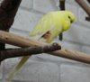 IMG_2509.JPG