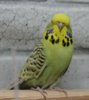 IMG_2585.JPG