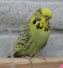IMG_2588.JPG