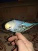 20181106_143733.jpg