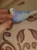 20181106_145215.jpg