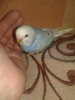 20181106_145834.jpg
