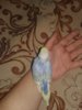 20181106_143651.jpg