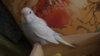 DSC08450.JPG