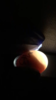 55D2BBB1-6CAF-4F0C-8579-55BAA8D471C6.png