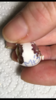 16A5D9C7-24EF-4BC7-A0DB-551965B0B196.png