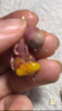 07DD33EC-B49B-4EF1-B7D2-A09C094BD2D3.png