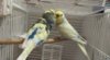 28002AD7-9793-447A-888A-2F693CC80D3B.jpeg