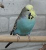 IMG_2901.JPG