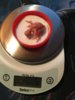 B31BB851-3E2B-474E-98C2-7234F3CB8D65.jpeg