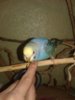 20181116_155622.jpg