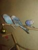 20181116_153228.jpg