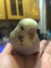 IMG-20181118-WA0013.jpg