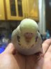 IMG-20181118-WA0014.jpg