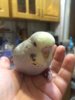 IMG-20181118-WA0012.jpg