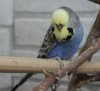IMG_2715.JPG