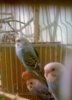WP_20181121_013.jpg
