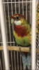 D8B14A70-EBA8-4CB3-8738-E6679DE38B6A.png