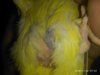 IMG_20181124_074718.jpg