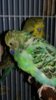 20181114_220710.jpg