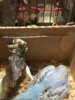 9821E8A4-BED0-4496-8478-A4CB9D907808.jpeg