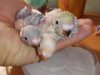 IMG-20181124-WA0036.jpg