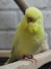 IMG_3405.JPG